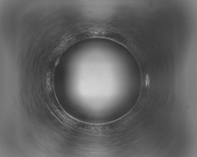 X0000077311396200610201141