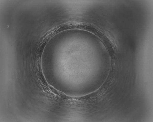 X0000077311397200610201141