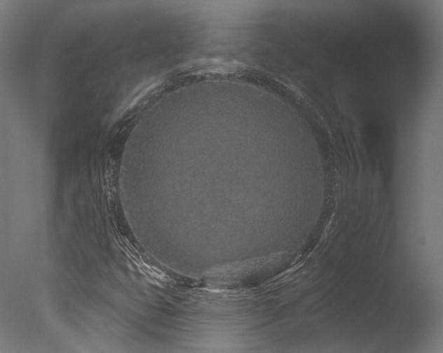 X0000077311399200610201141
