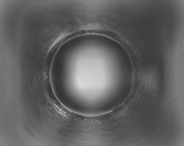 X0000077311400200610201141