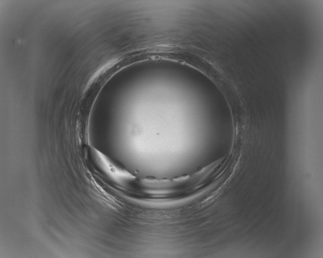 X0000077311402200610201141