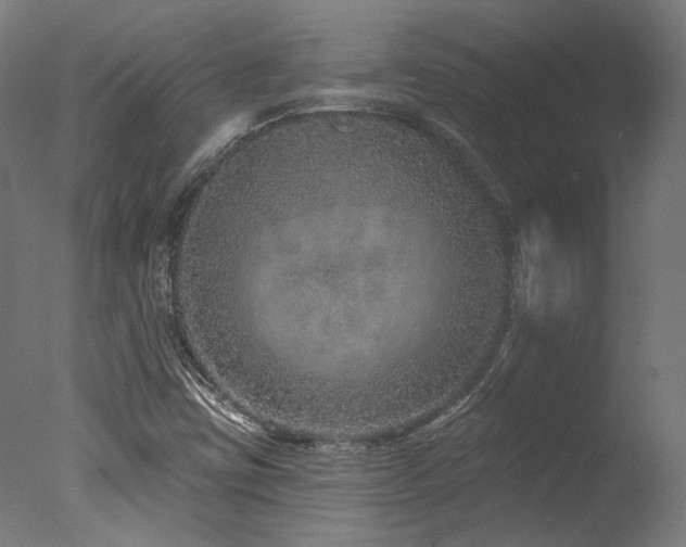 X0000077311403200610201141