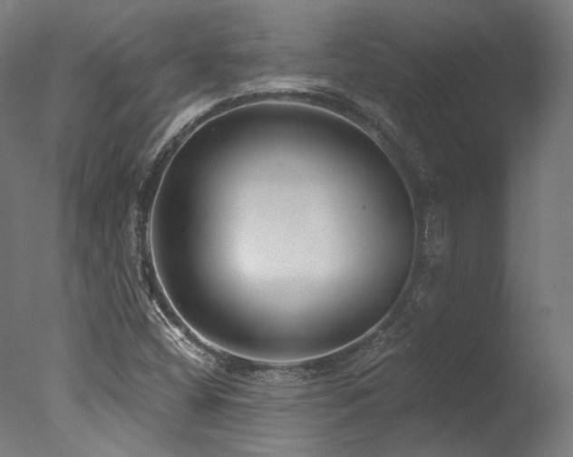 X0000077311404200610201141