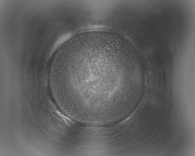 X0000077311405200610201141