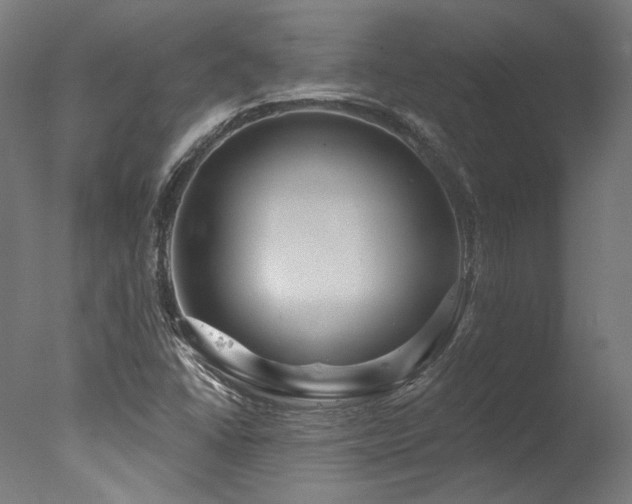 X0000077311406200610201141