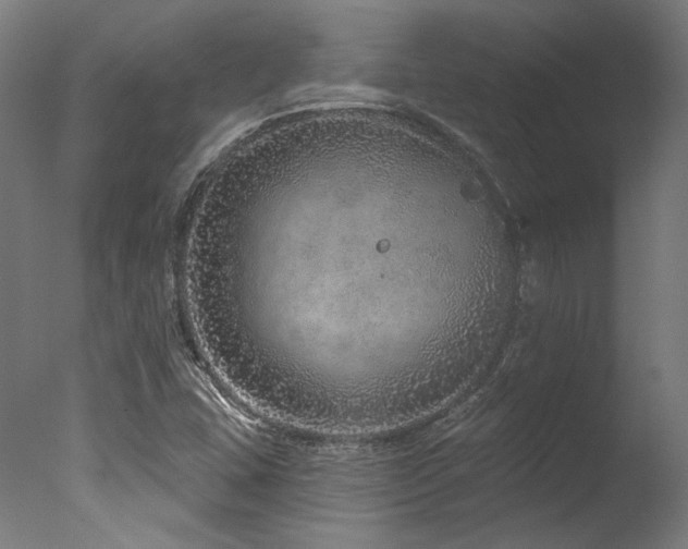 X0000077311407200610201141