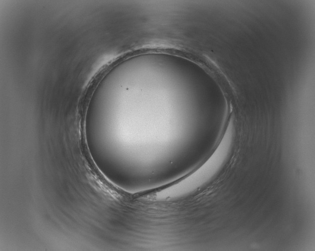 X0000077311408200610201141