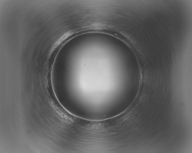 X0000077311410200610201141