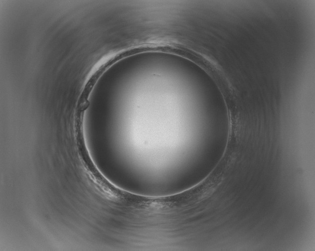 X0000077311412200610201141