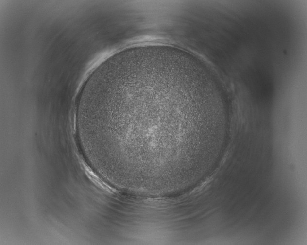 X0000077311413200610201141