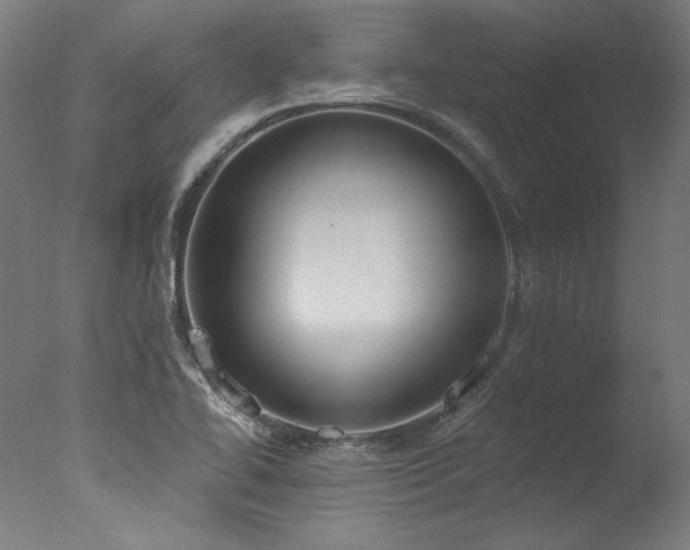X0000077311414200610201141