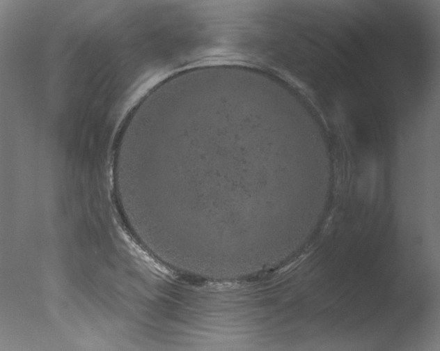X0000077311415200610201141