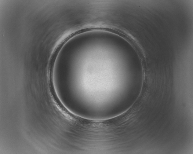 X0000077311416200610201141