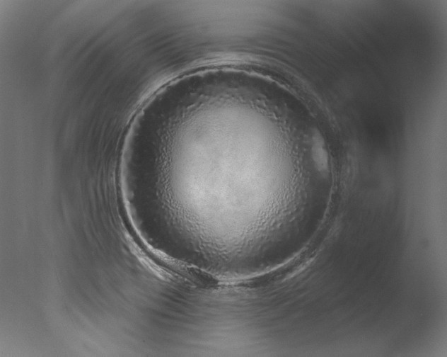 X0000077311417200610201141