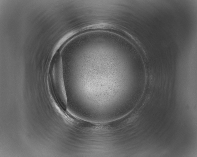 X0000077311418200610201141