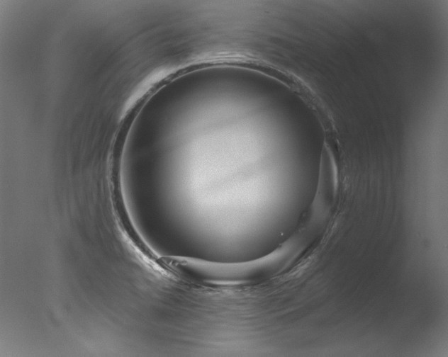 X0000077311422200610201141