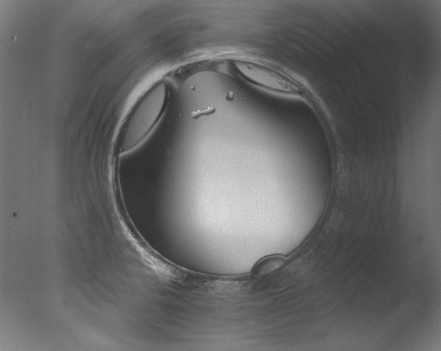 X0000077311424200610201141