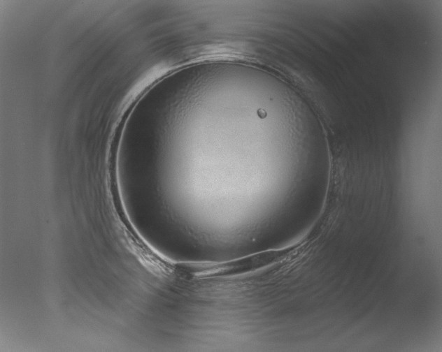 X0000077311427200610201141
