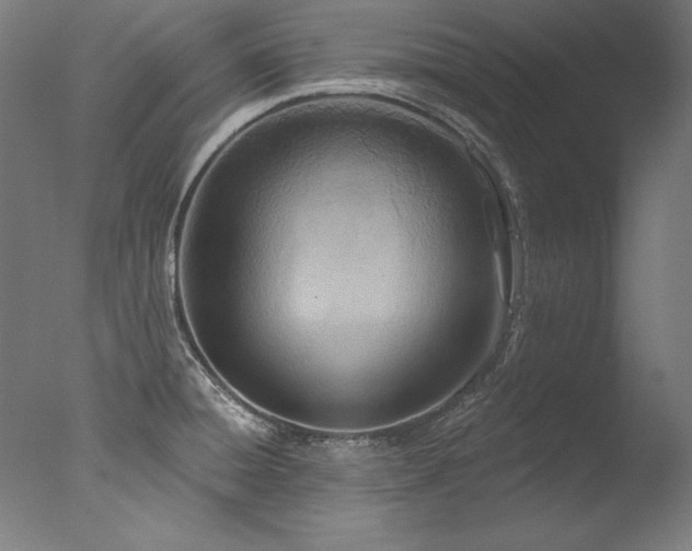 X0000077311428200610201141