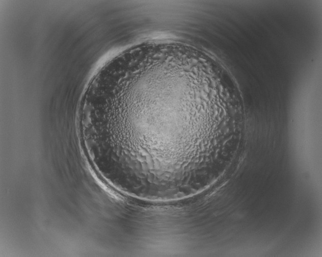 X0000077311429200610201141