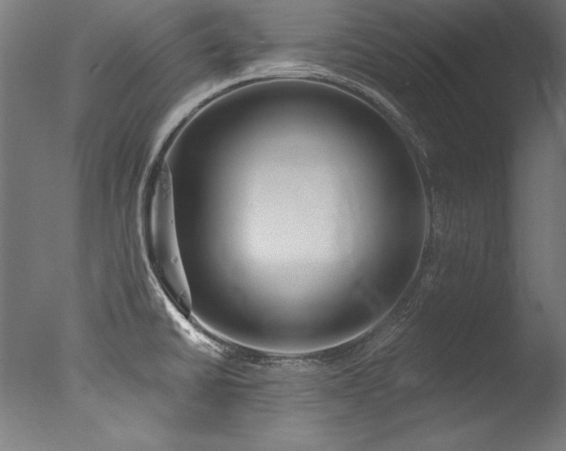 X0000077311430200610201141