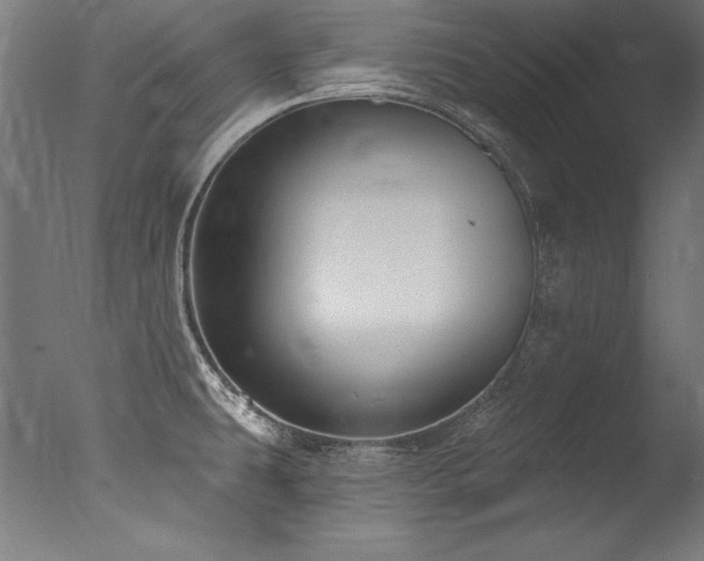 X0000077311431200610201141