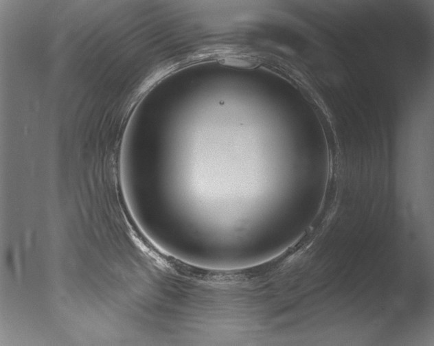 X0000077311433200610201141