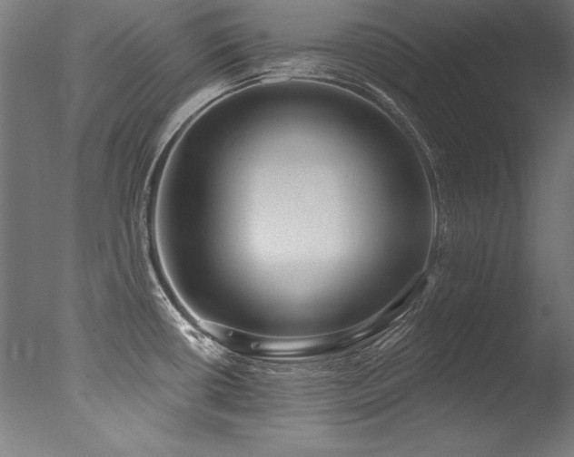 X0000077311434200610201141