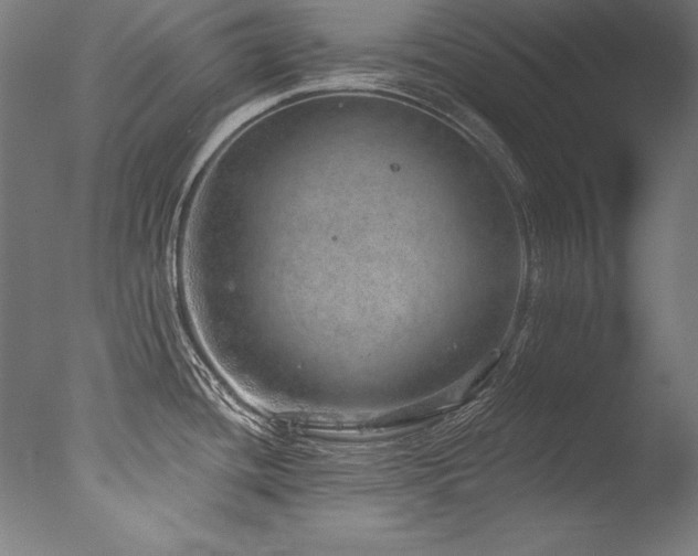 X0000077311436200610201141