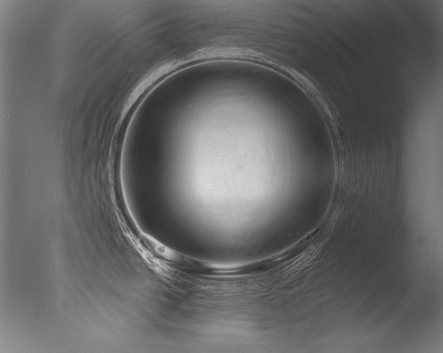 X0000077311438200610201141