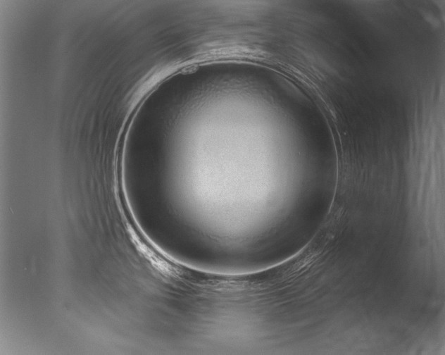 X0000077311439200610201142