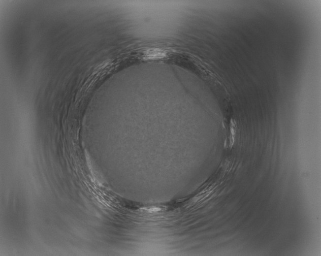 X0000077311441200610201141