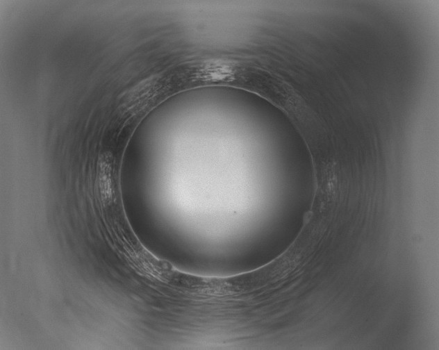 X0000077311442200610201141
