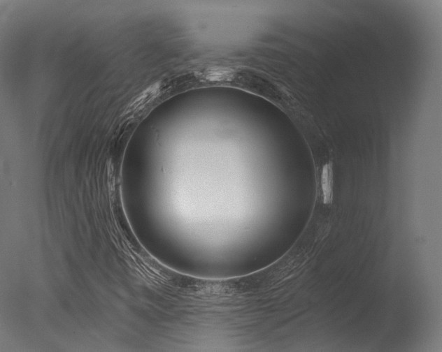 X0000077311443200610201141