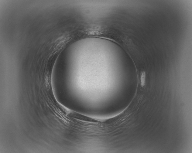 X0000077311444200610201141