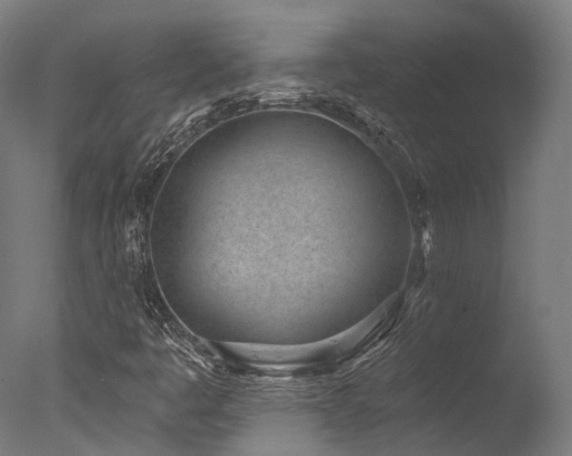 X0000077311445200610201141