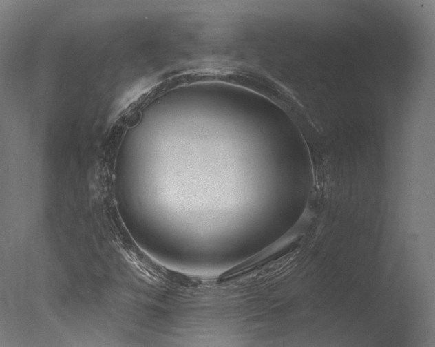X0000077311448200610201141