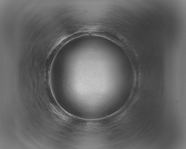 X0000077311449200610201141