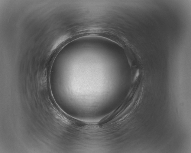 X0000077311450200610201141