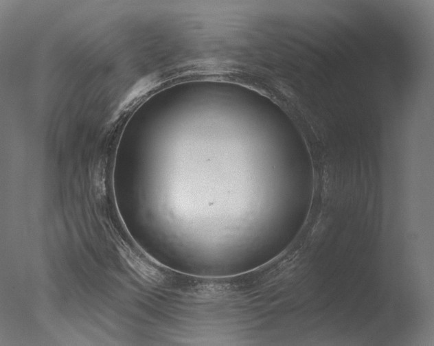 X0000077311451200610201141