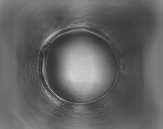 X0000077311452200610201141