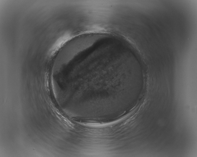 X0000077311455200610201140