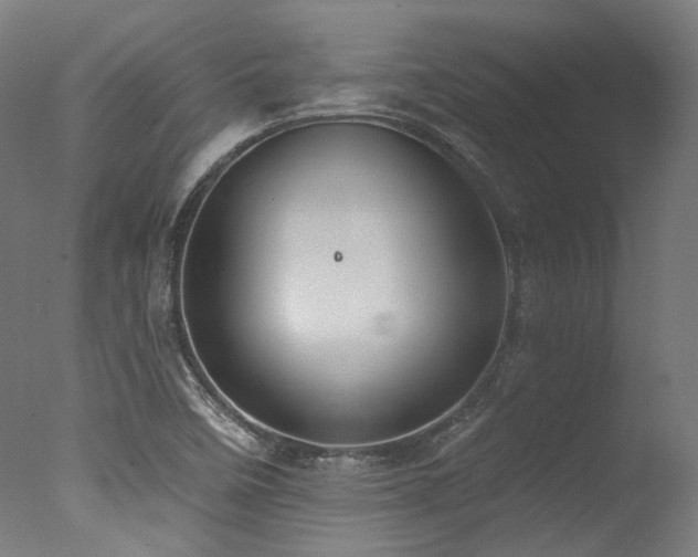 X0000077311458200610201140
