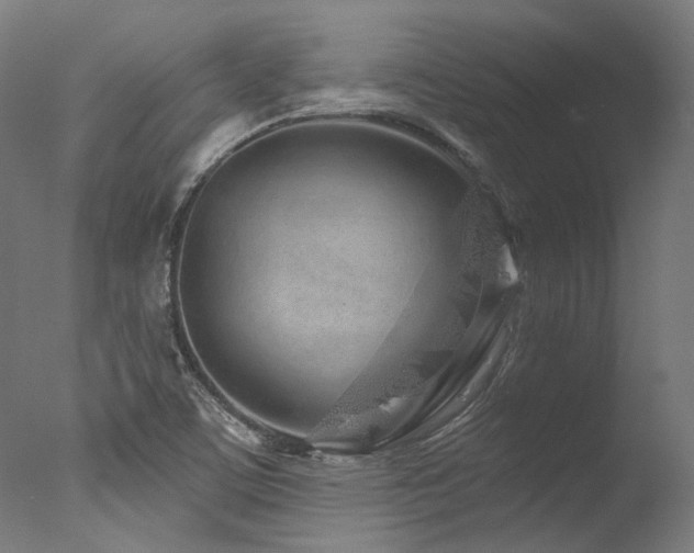 X0000077311459200610201140