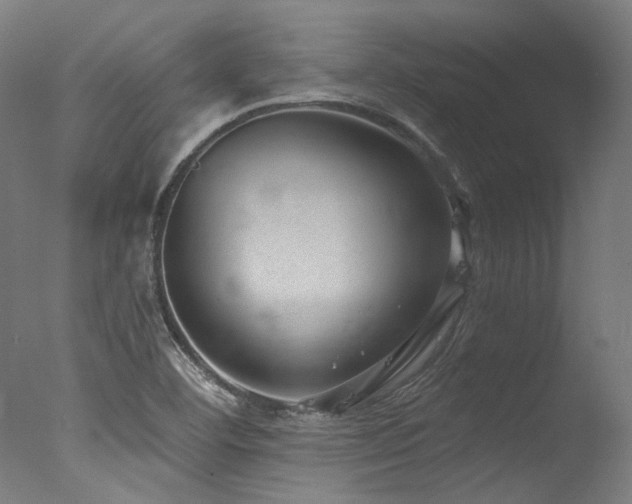 X0000077311460200610201140
