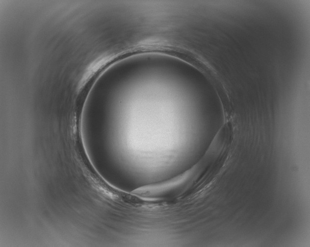 X0000077311461200610201140