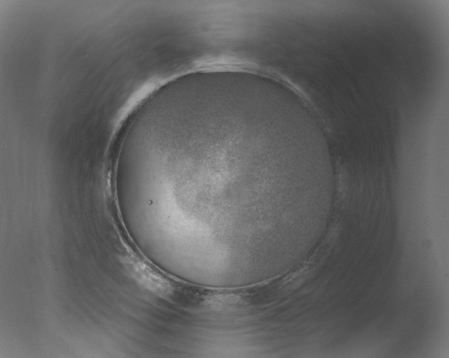 X0000077311462200610201140