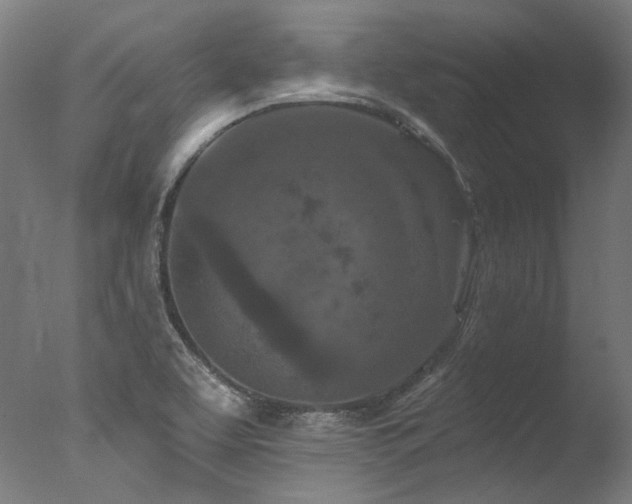X0000077311463200610201140