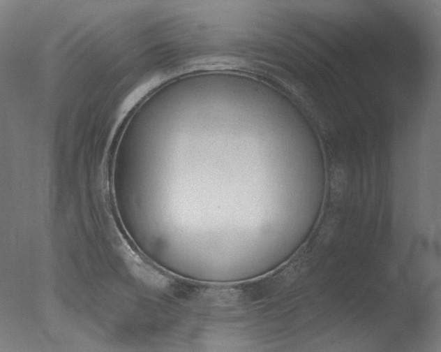 X0000077311466200610201140