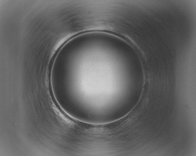 X0000077311468200610201140